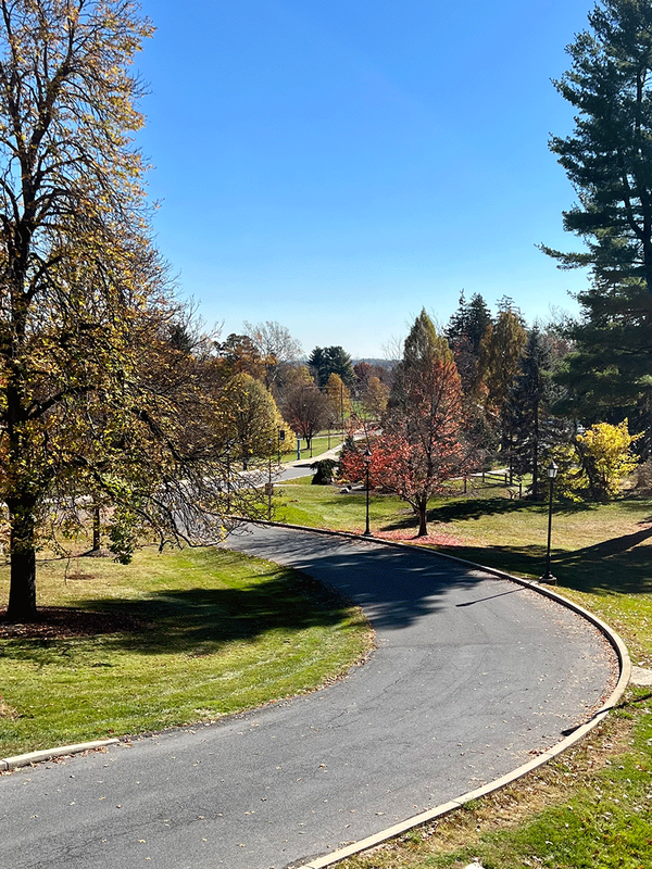 Fall image of campus along Campus Drive 